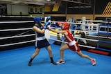 The gtwo boxers throw punches in the ring.