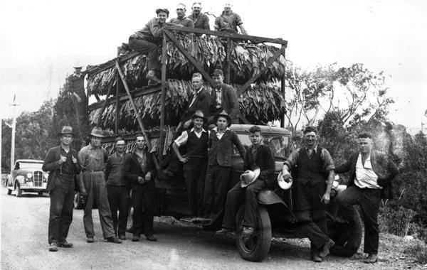 Black and white photo of a group of men with a big truck that has tobacco leaf on it.