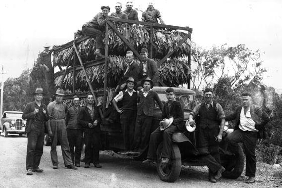 Black and white photo of a group of men with a big truck that has tobacco leaf on it.