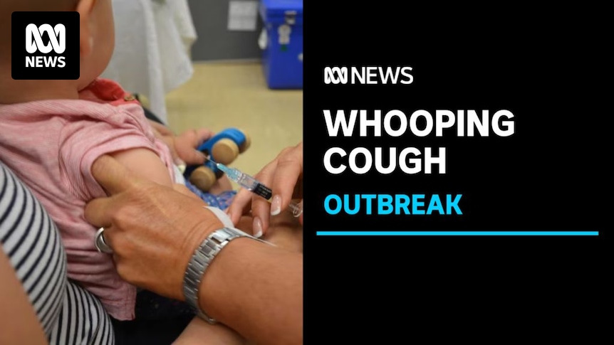 Video: Whooping cough outbreak in Australia