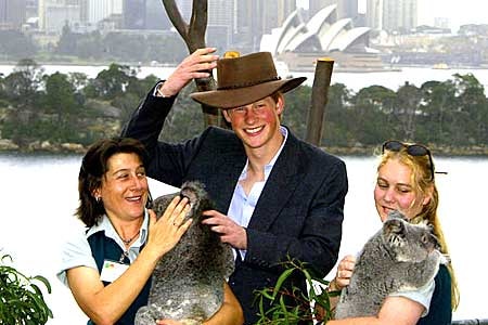 Prince Harry at Sydney zoo