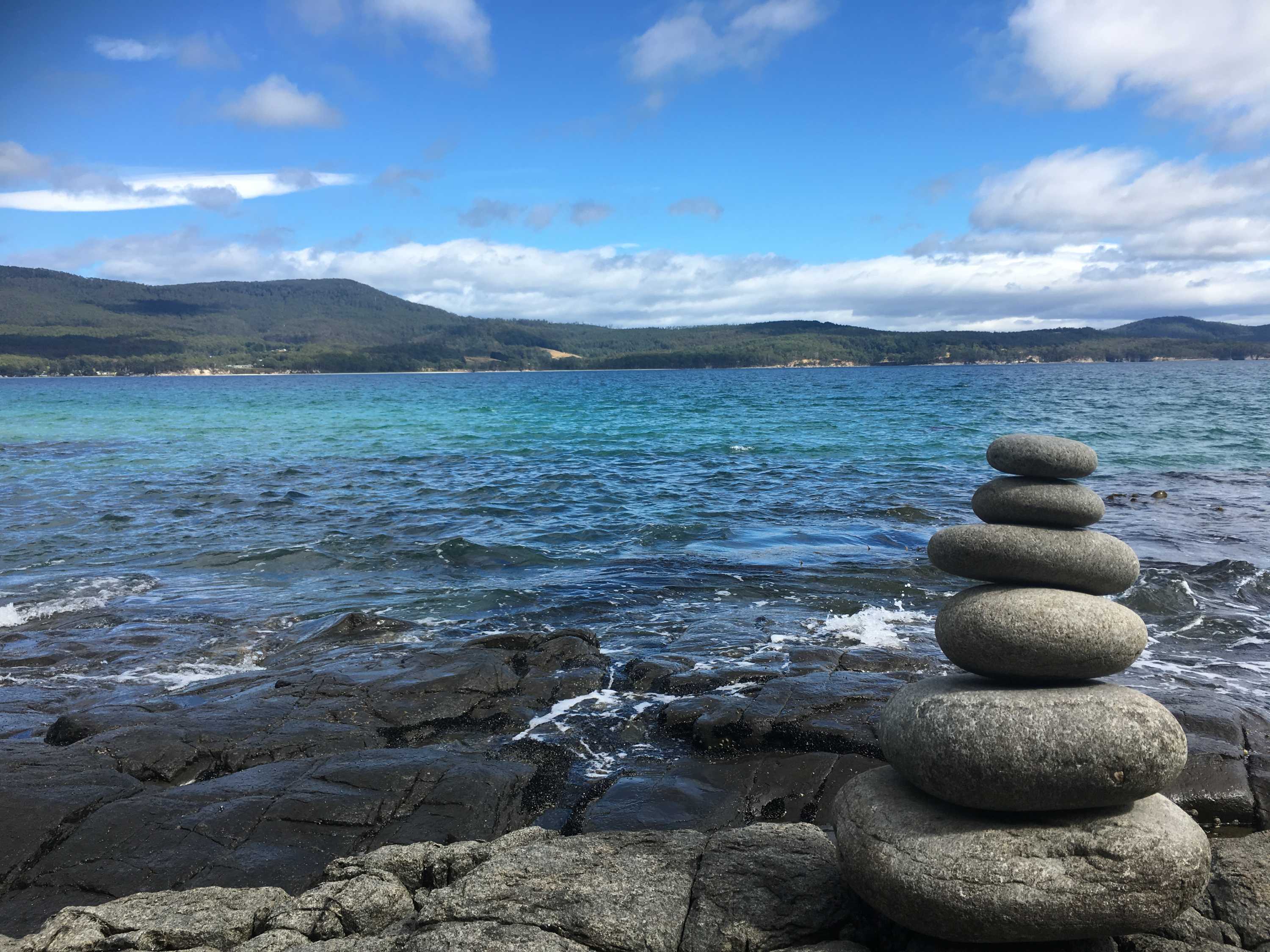 Shark bites diver in waters off Bruny Island