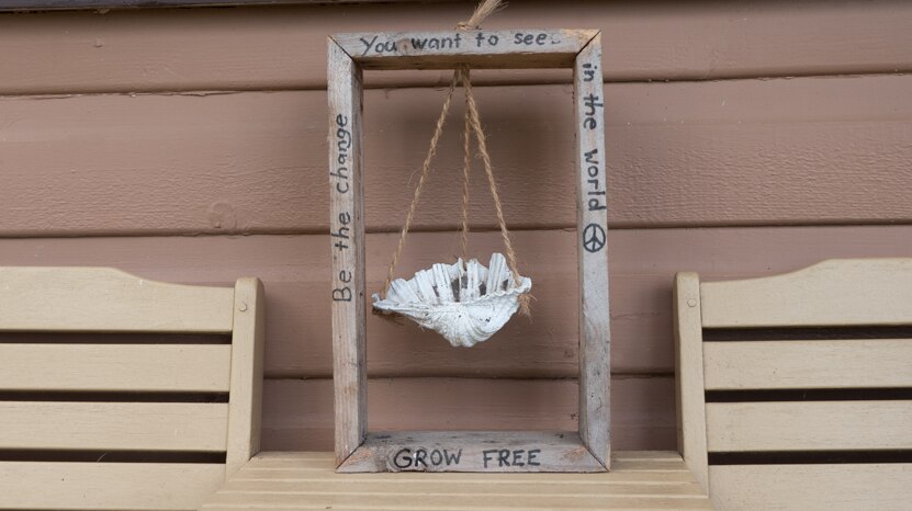 A wooden frame with a sea shell where Andrew plans to grow a seedling.