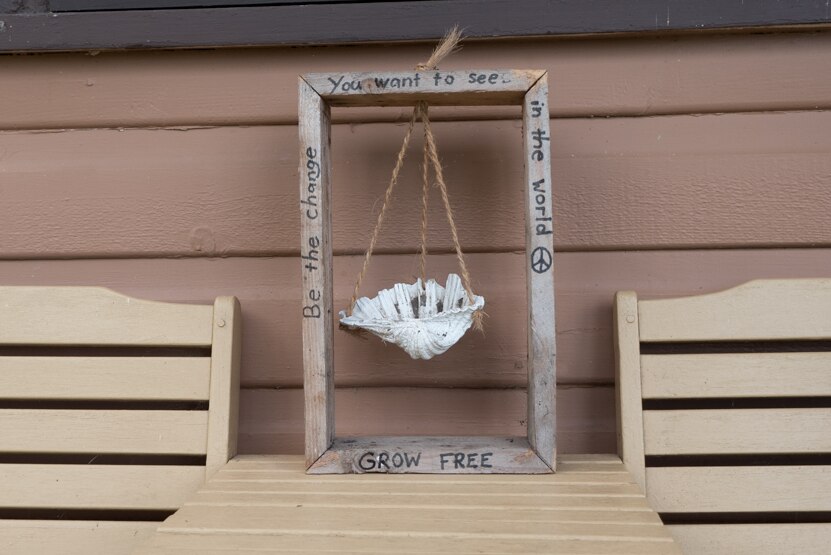 A wooden frame with a sea shell where Andrew plans to grow a seedling.