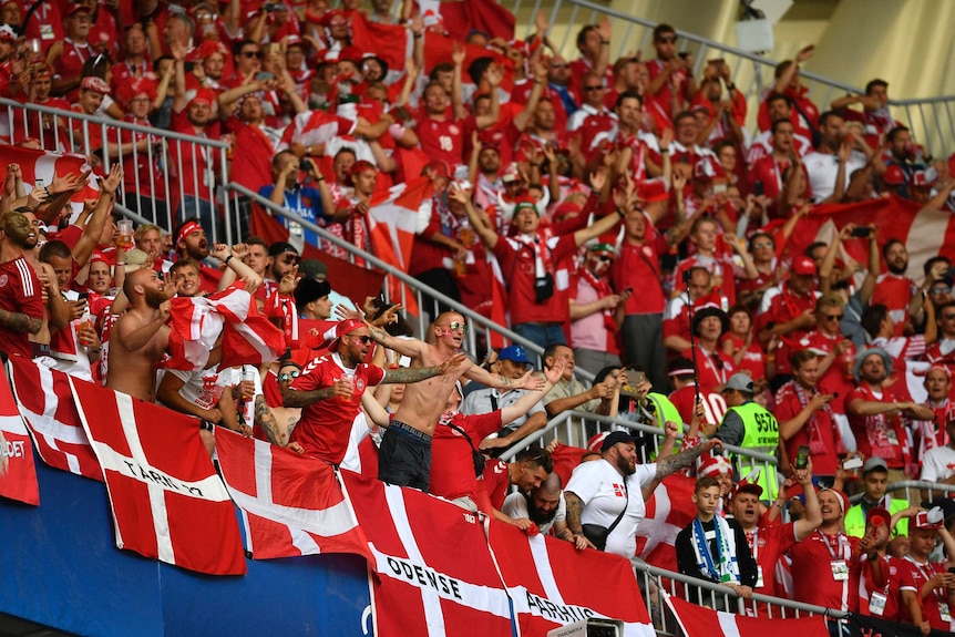 Denmark fans inside the stadium cheering their team