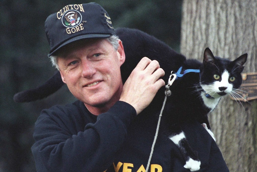 Socks, with what appears to be a lead attached to his collar, sits on Bill Clinton's shoulder.