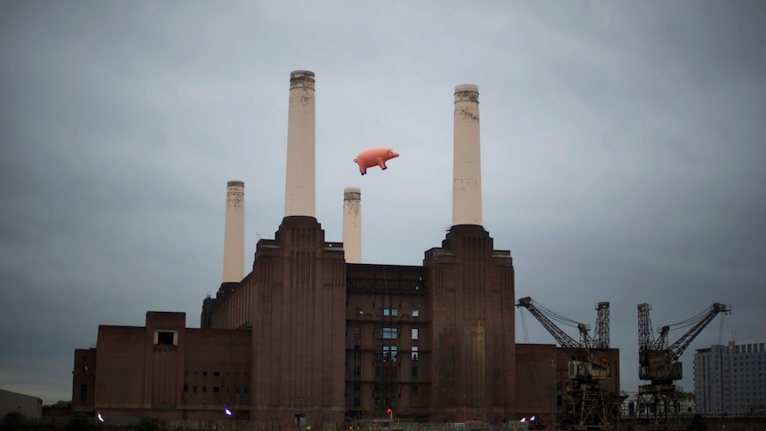 Flying again: The nine-metre long inflatable is a replica of the original pig.