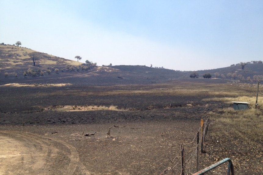Burnt paddocks for 17,000 hectares near Yass in New South Wales.
