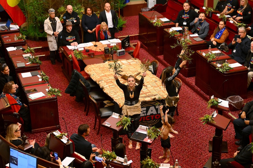 Dancers hold up gumleaves as they dance inside the red-carpeted Legislative Council of Parliament House.