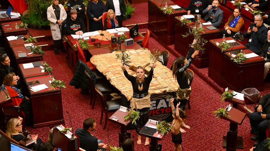 Dancers hold up gumleaves as they dance inside the red-carpeted Legislative Council of Parliament House.