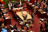 Dancers hold up gumleaves as they dance inside the red-carpeted Legislative Council of Parliament House.