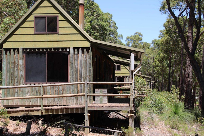 A line of wooden chalets in the bush.