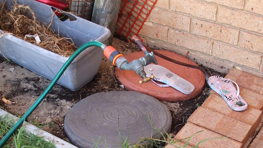 A hose tap in a garden bed with a girl's pink thongs and a plant pot nearby, and a green hose leading from the tap.