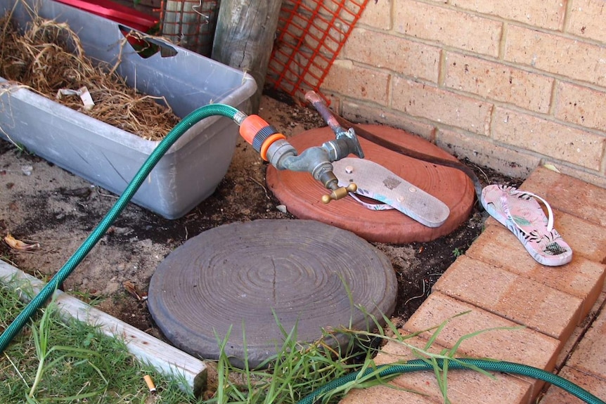 A hose tap in a garden bed with a girl's pink thongs and a plant pot nearby, and a green hose leading from the tap.