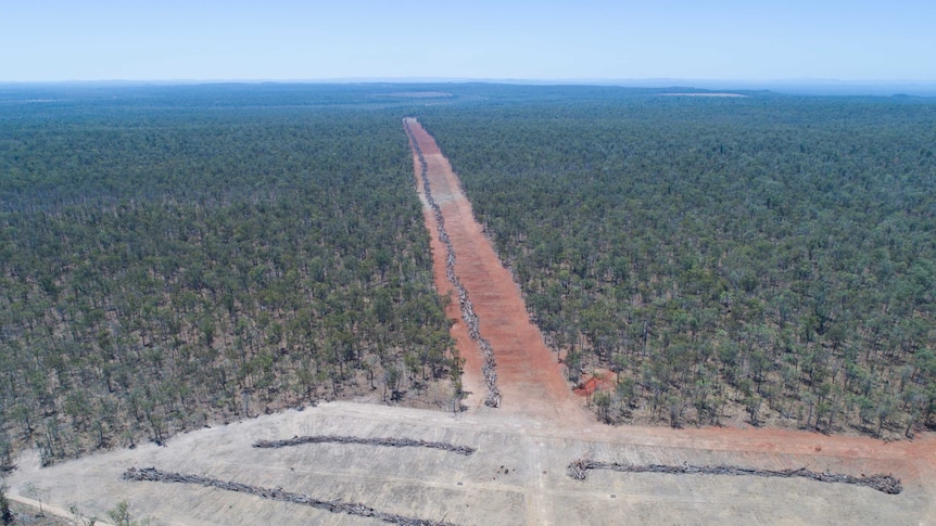 An image that shows land clearing at Wombinoo Station, south-west of Cairns.