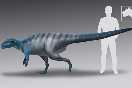 An illustration of a blue-grey dinosaur beside a human.