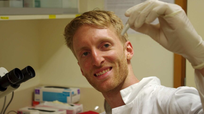 UWA researcher Rowan Lymbery in his Perth lab. Date: April 16, 2015.