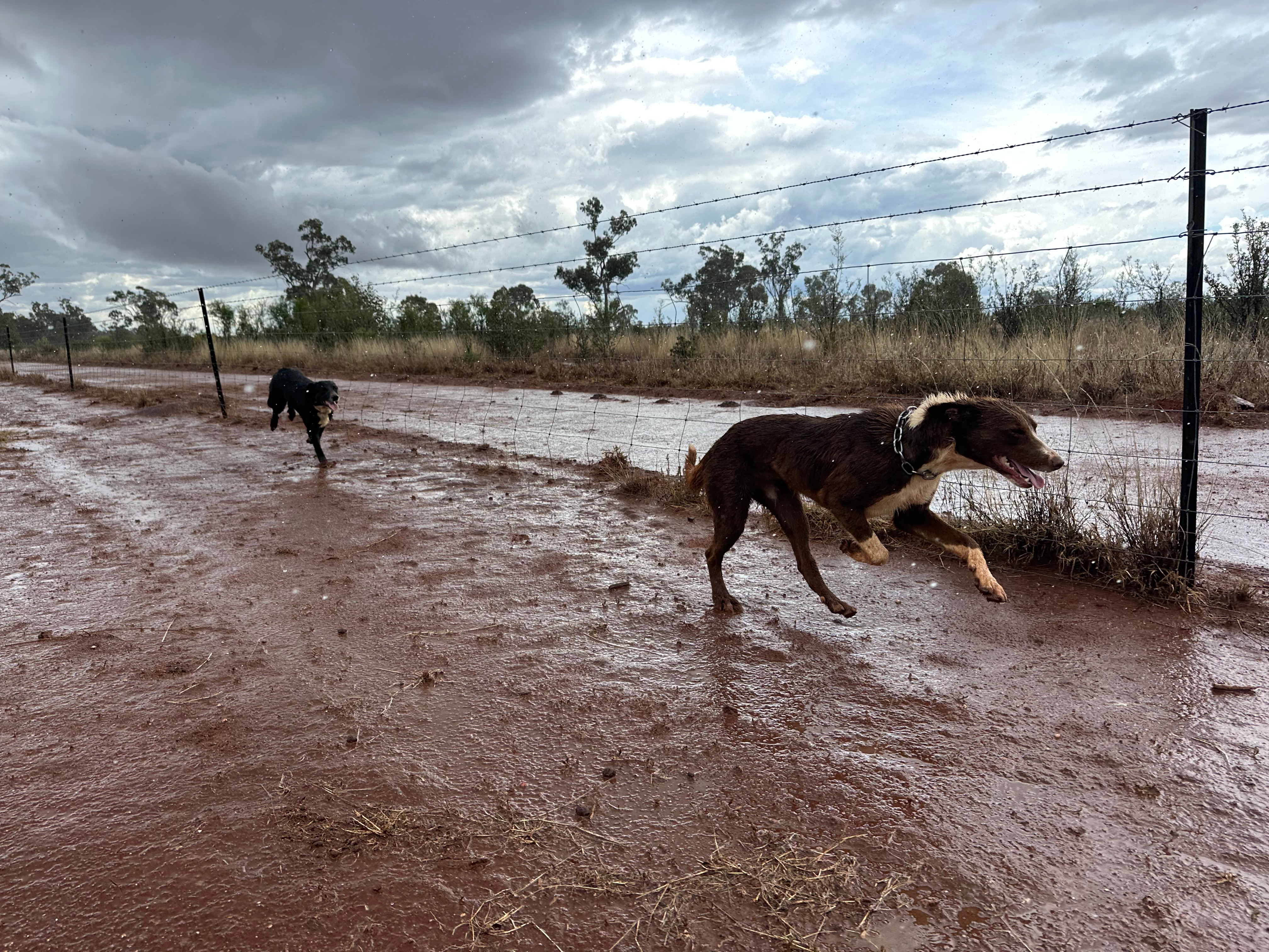Weekend storms and showers forecast for parts of Queensland