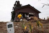 Fukushima house