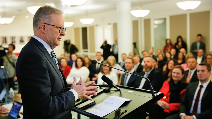 Anthony Albanese addresses Labor caucus