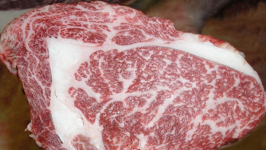 Wagyu beef with a massive marbling score of nine.