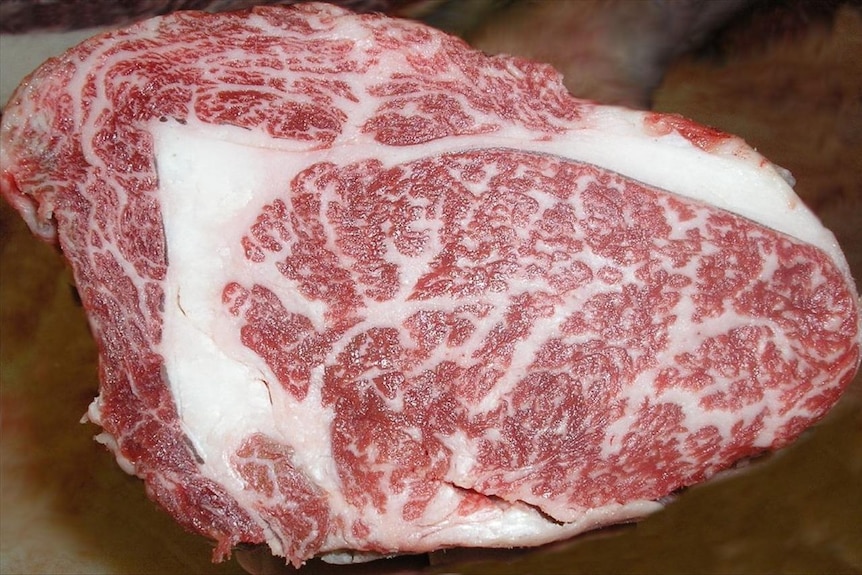 Wagyu with a marble score of 9.