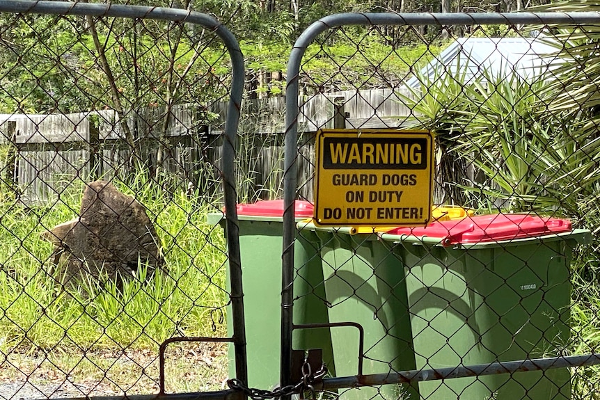 A sign warning of guard dogs on the chained front gate of a property