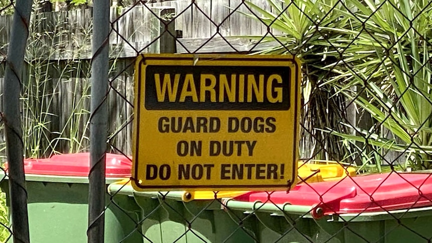 A sign warning of guard dogs on the chained front gate of a property