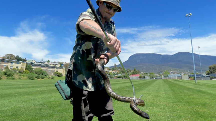 Snake catcher Phil Jackson with a Tasmanian tiger snake