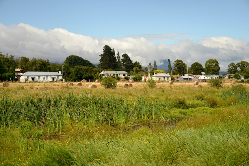 A view of buildings in Westbury from a grassed field. 