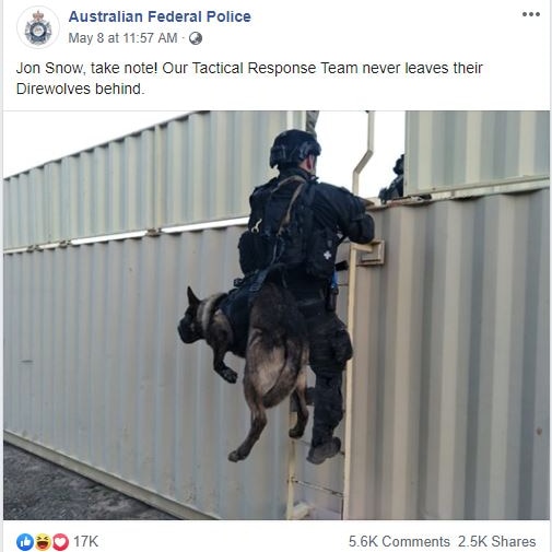 An AFP officer climbs over a fence carrying a dog.