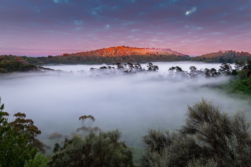 Fog lays over two large craters under an early morning pink sky.