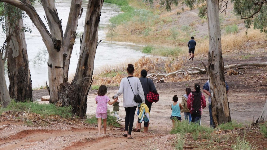 A group of adults and children walk toward a river bank, surrounded by gum trees.