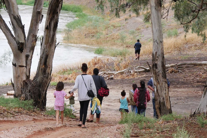 A group of adults and children walk toward a river bank, surrounded by gum trees.