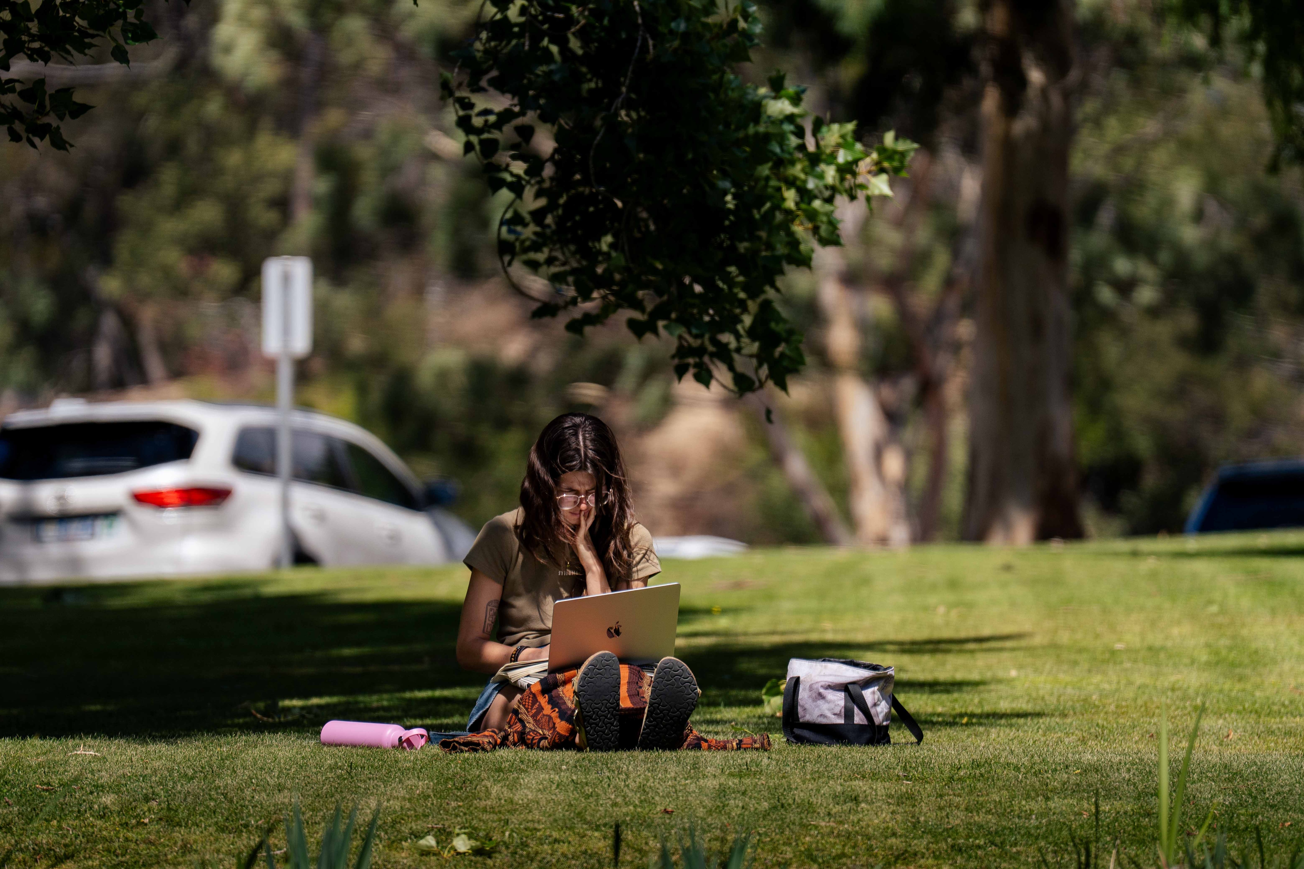 Students gathered on a university campus