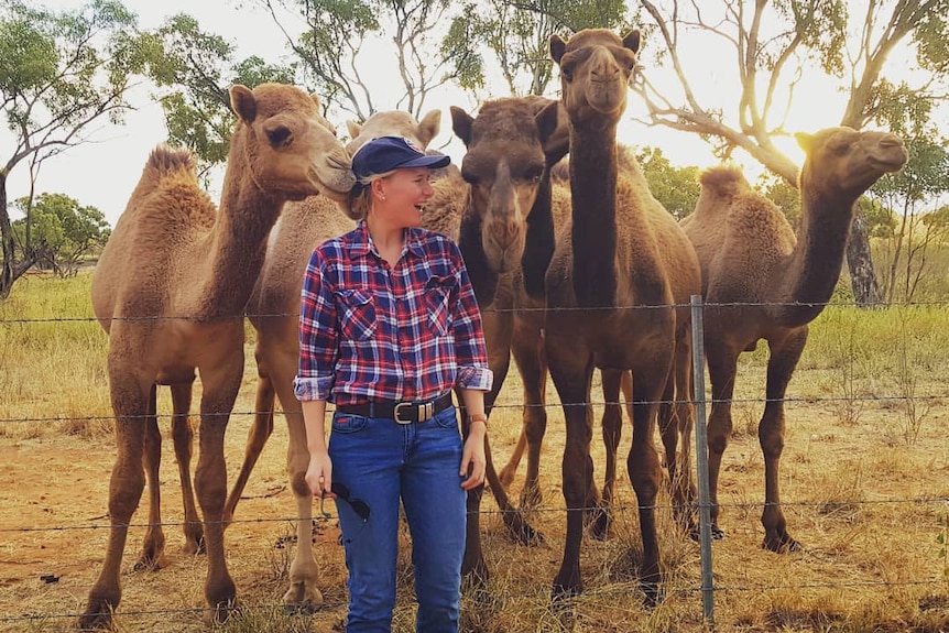 Young woman in jeans and check shirt surrounded by camels