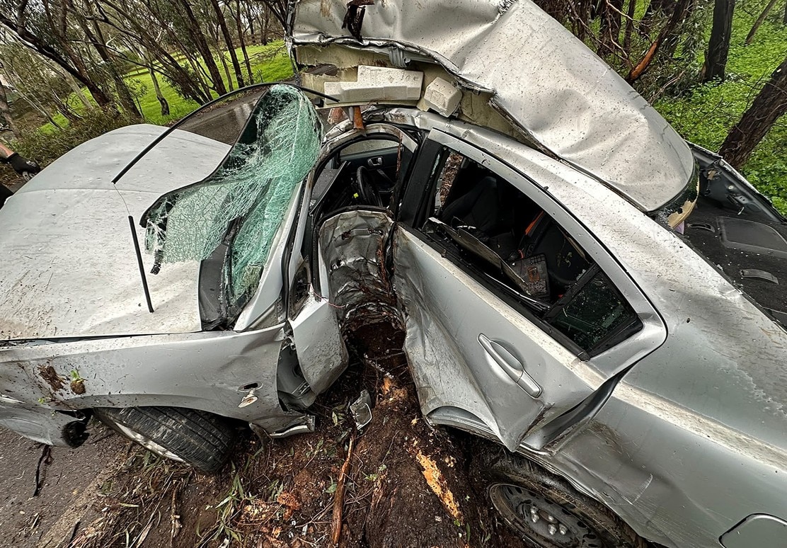 Driver 'incredibly fortunate' to avoid serious injury after hitting tree