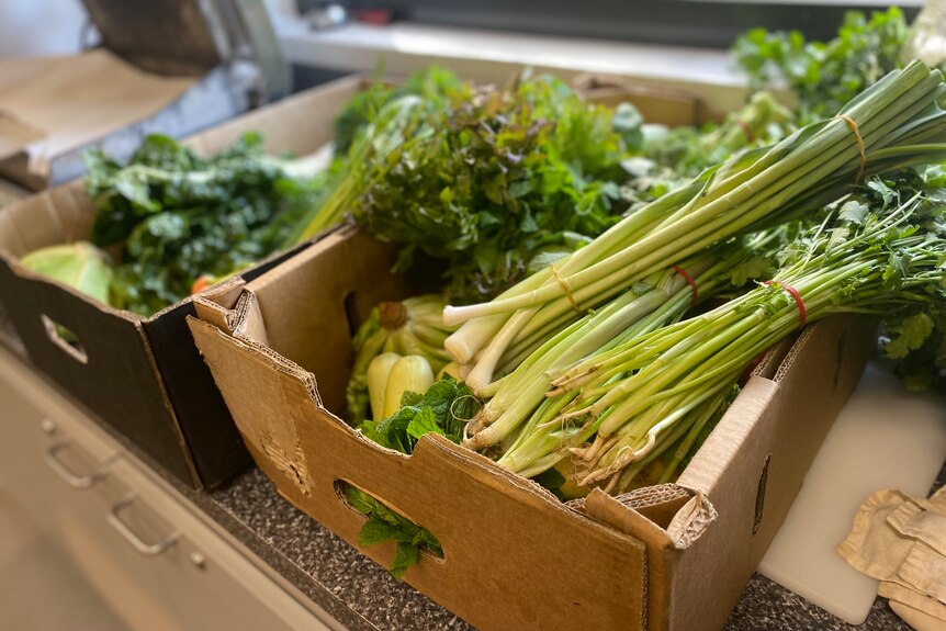 Boxes of fresh green vegetables