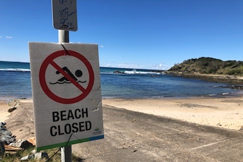 A sign reading beach closed at a beach.