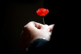 A person holds a poppy.