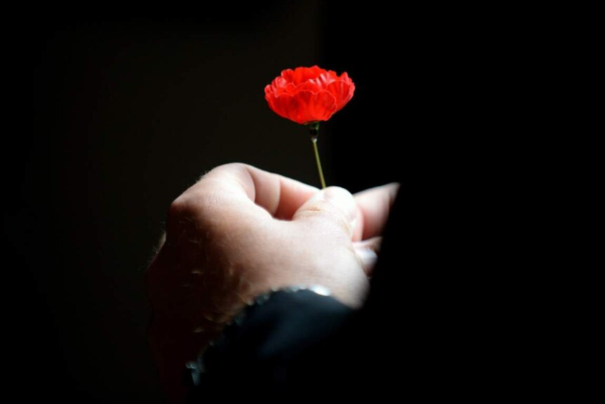 A person holds a poppy.