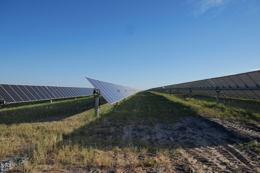 2 rows of solar panels stand in a field with the sun shining