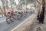 Tour Down Under riders go through bushfire zone during stage one from Tanunda