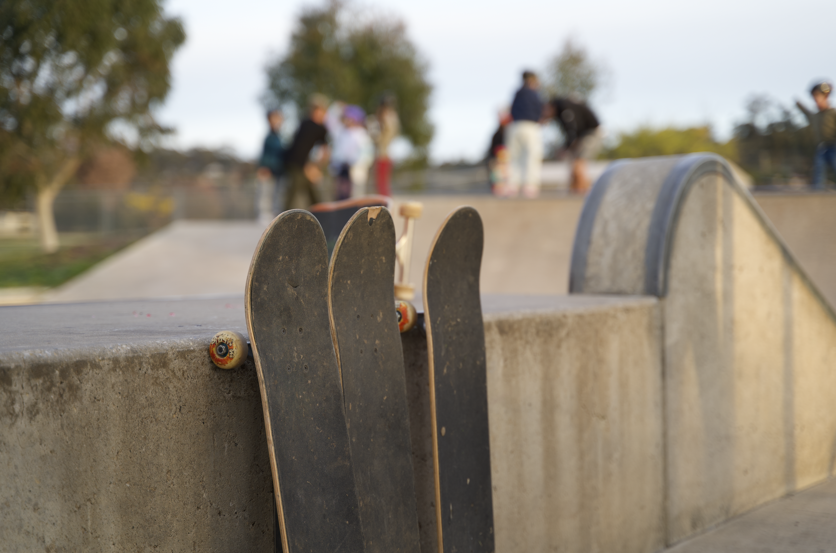 Skateboards down at the skatepark