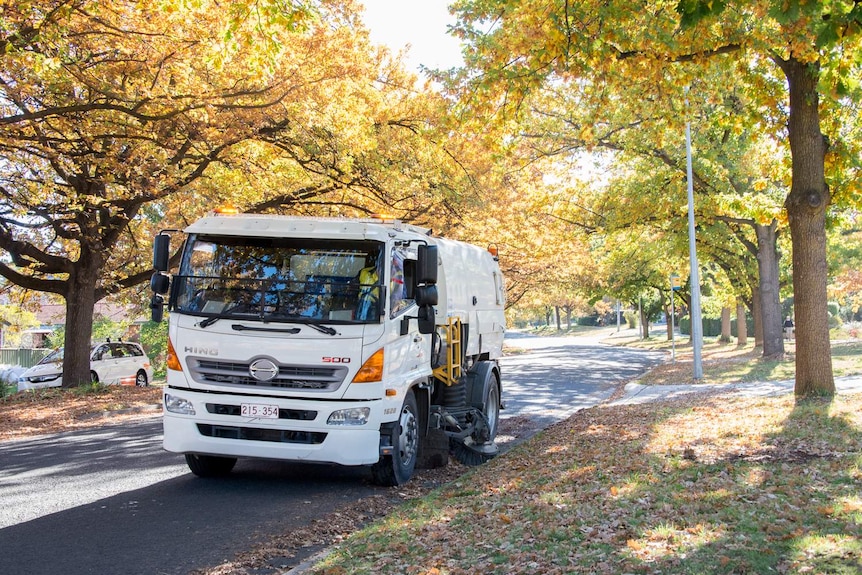 Street sweeper clearing up autumn leaves