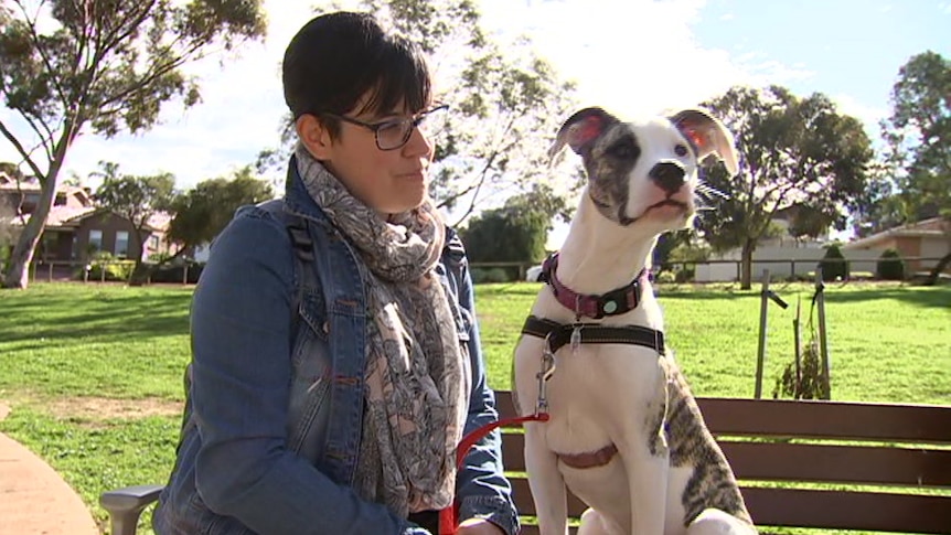 A woman looking at a dog