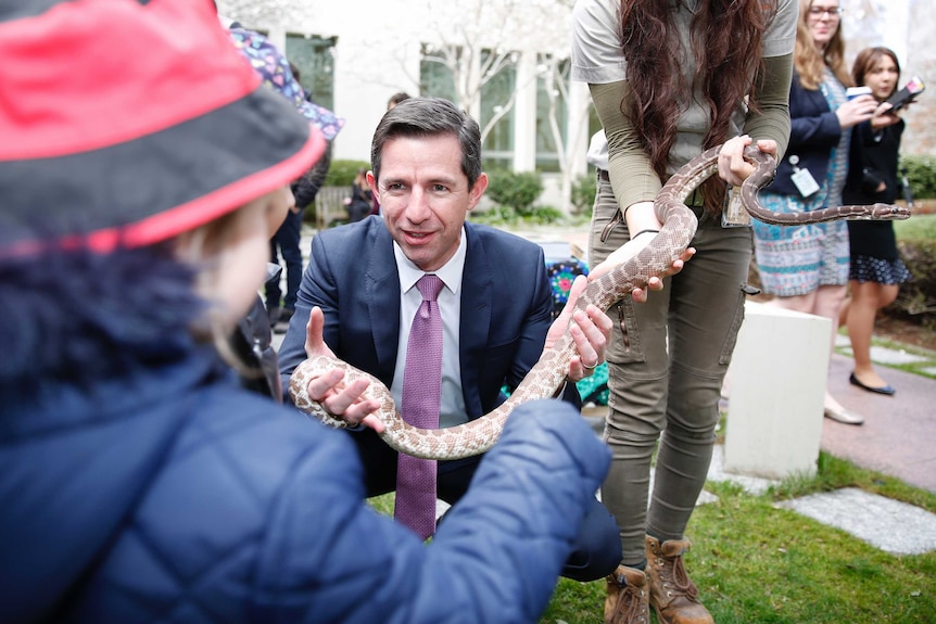 Education Minister Simon Birmingham shows snake to young child