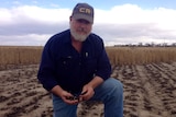 Farmer Dan Sanderson kneeling on burnt ground with crop standing behind him