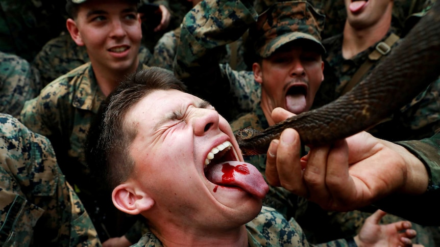 US marines drink cobra blood as part of jungle survival training in Thailand