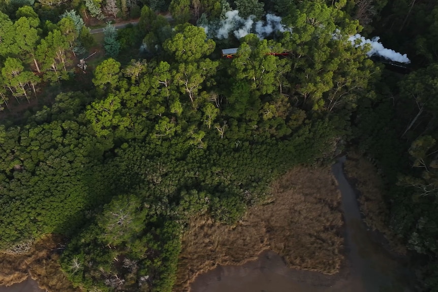 A view from the air of a steam train making it's way through thick forest